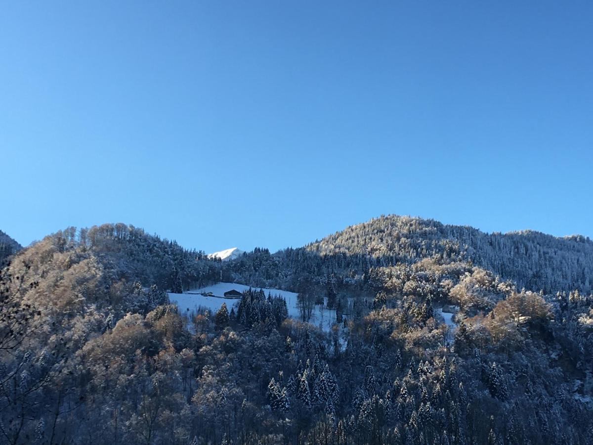 Nant D Ant Appartement Samoëns Buitenkant foto